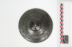 Foto von Bronzephalere (NHMW-PRAE-024553)